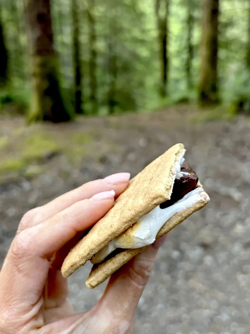 S’mores au feu de bois (+version au four)