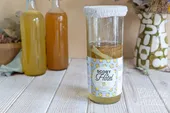 Hôtel à mères de kombucha : comment conserver ses SCOBYs