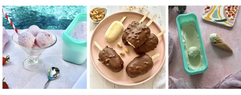Tout ce que vous pouvez faire avec une Boréalia : Yaourts, Fromages Blancs, Glaces, Granités… et plus !