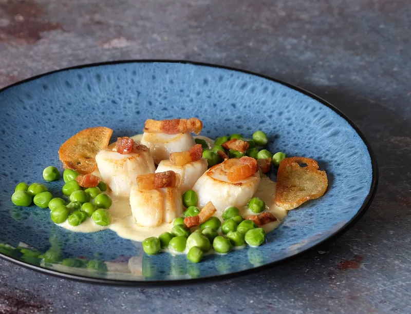 Noix de Saint-Jacques, sauce crémeuse, guanciale et petits pois