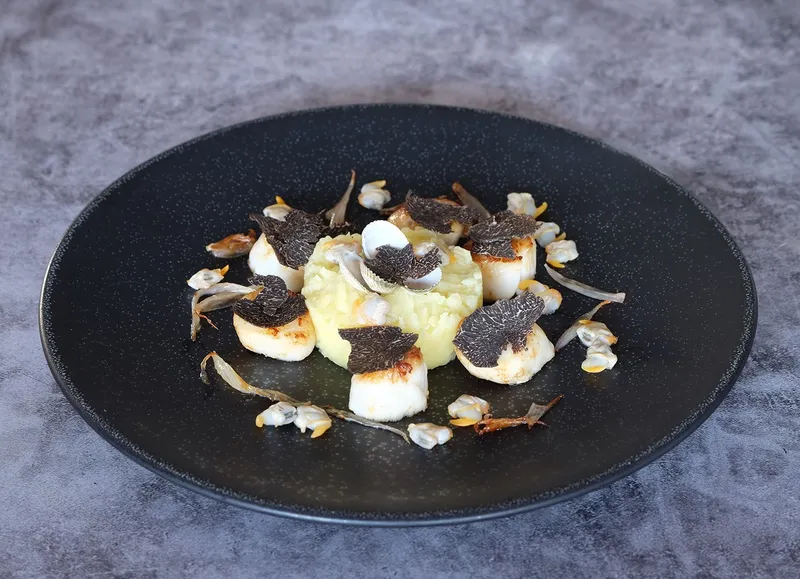 Coquilles Saint-Jacques, écrasée de pommes de terre et truffe