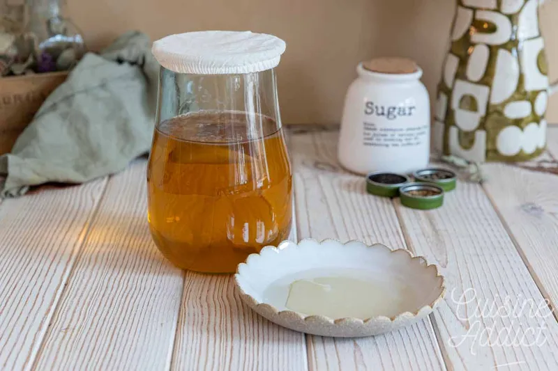 Comment créer une mère de kombucha (SCOBY) facilement