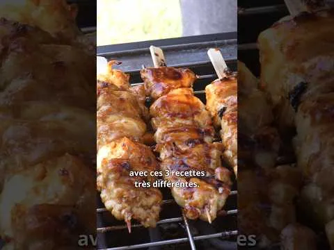 Mangez des brochettes avec du goût ! Tex-Mex, Tandoori et Yakitori