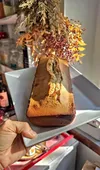 Cake au yaourt et poudre d'amandes igbas