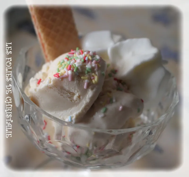 Glace vanille onctueuse