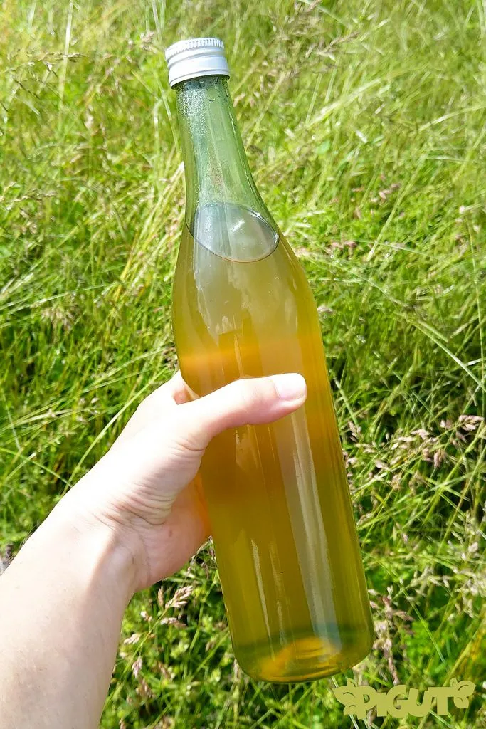 Sirop de fleur de sureau