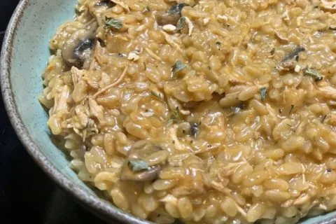 Orzo poulet, champignons et Boursin