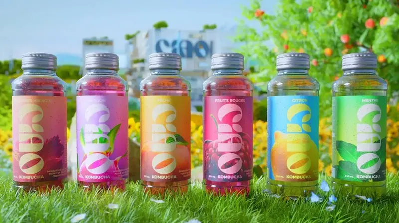 Ciao Kombucha : l’alternative saine et naturelle aux sodas