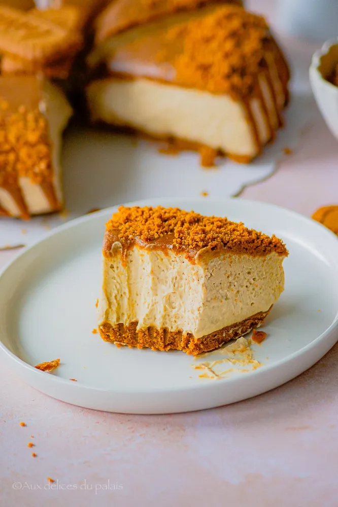 Cheesecake Spéculoos sans cuisson
