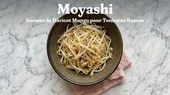 Moyashi Ramen : Germes de Haricot Mungo pour Tonkotsu
