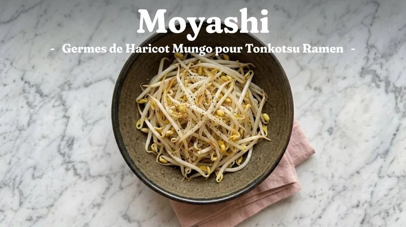 Moyashi Ramen : Germes de Haricot Mungo pour Tonkotsu