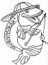barbbu
