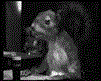 Paf-Le-Chien