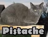 pistache
