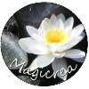 magicrea