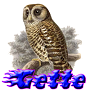 gette