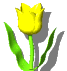 cga