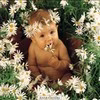 rox*