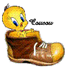 petchoune