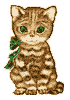 cookie59