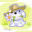 pompon16