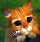 Caroo
