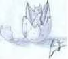 Deepdragon