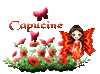 Capucine71