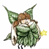 Bramble Goblinfly