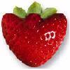 shinhwa_myangels4ever