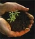 saby56