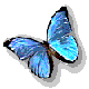 AponiNuna