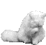 BaDoCaAm