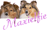 maxielfie