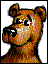 bearsteph