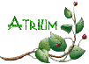 atrium