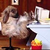 mmriana