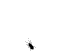 grand chef de cuisine