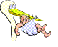 bibipop