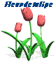 fleurdetulipe