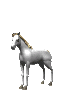 Flicka