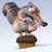 the scrat