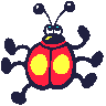 coccinett