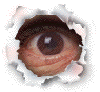 zaz