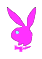 Lapin