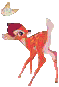 csies