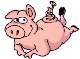 cébo