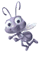 macarie