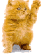 karinou71