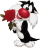 pupuce2b